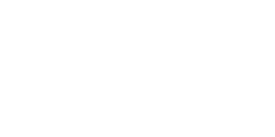 The SMART System